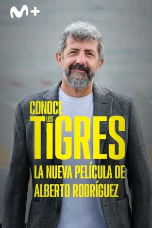 Cine de Verano de la Diputación 2026 - Inauguración: Los Tigres