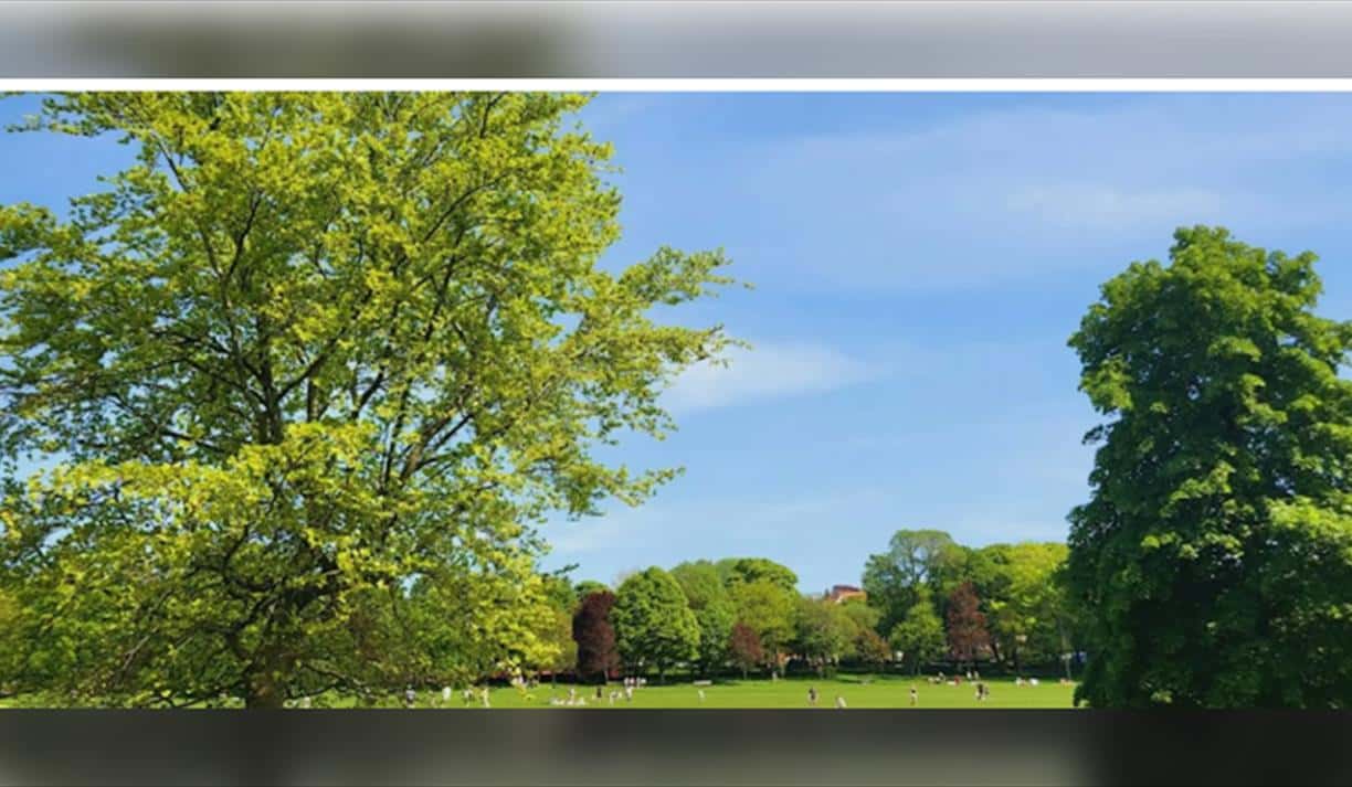 Community Mindful Walk