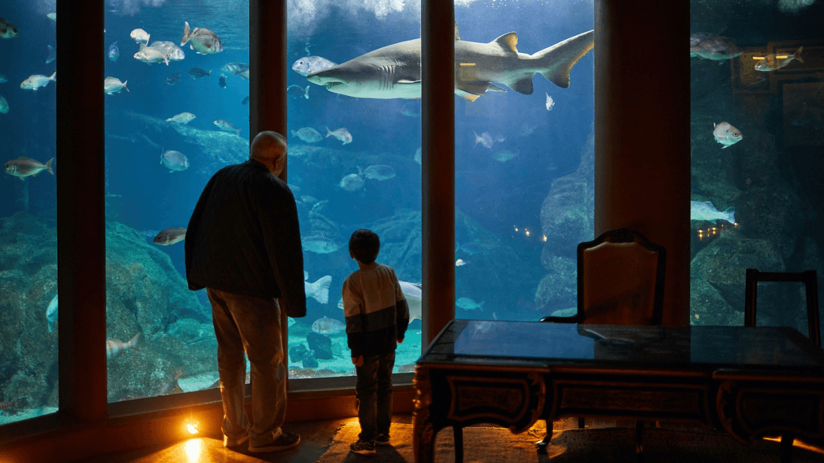 Aquarium Finisterrae