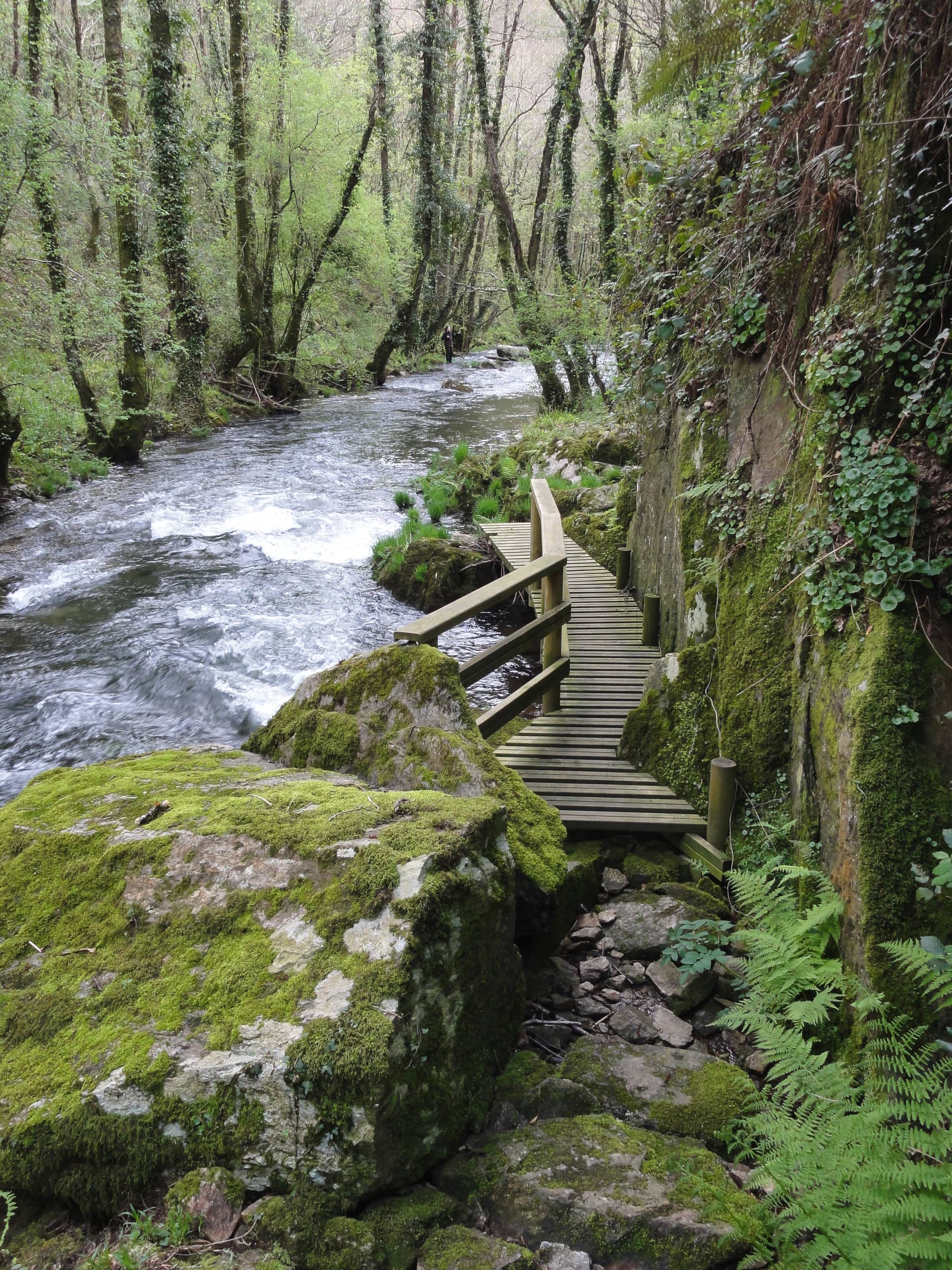 Río Mandeo