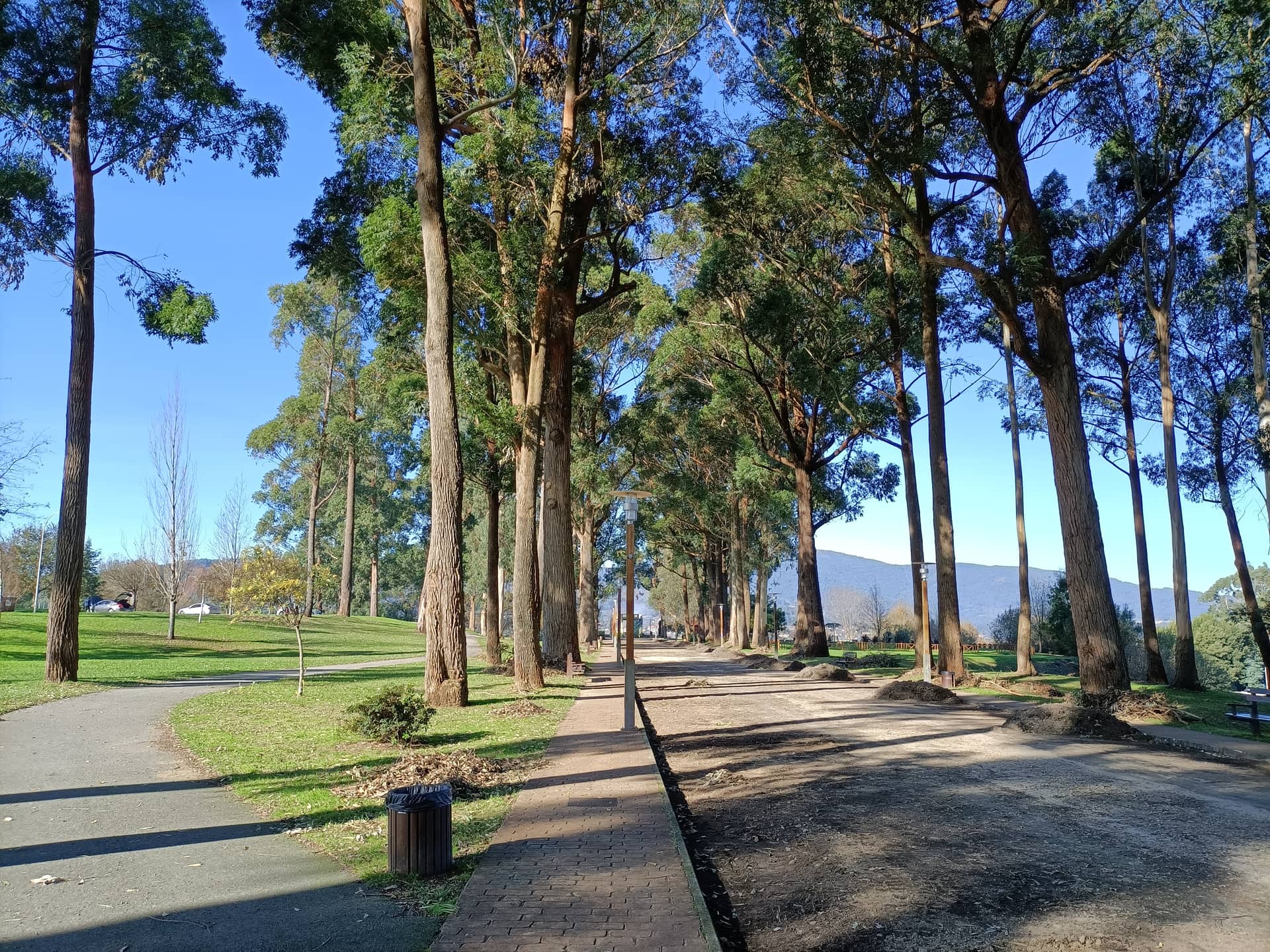 Mirador de Monte Porreiro