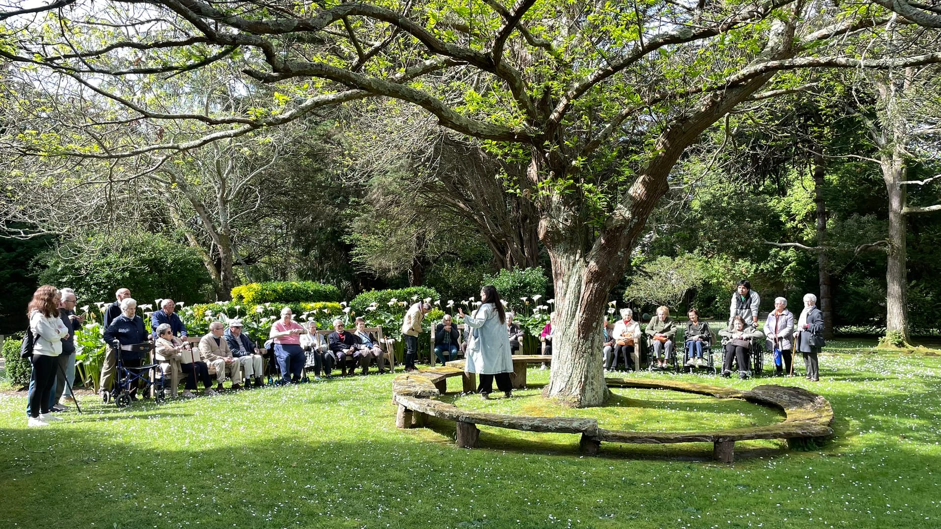 Descubriendo los Jardines Hist贸ricos del Museo Evaristo Valle