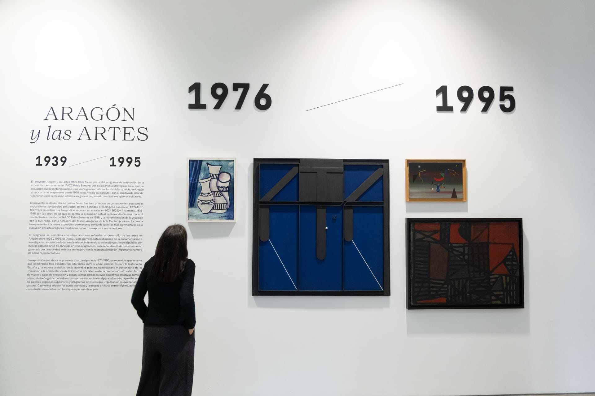 Visita comentada a la exposici贸n 'Arag贸n y las Artes 1976-1995'