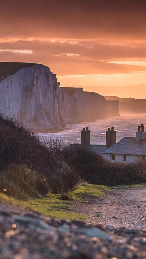 Sussex Day 2026: Markets, Music and Yoga