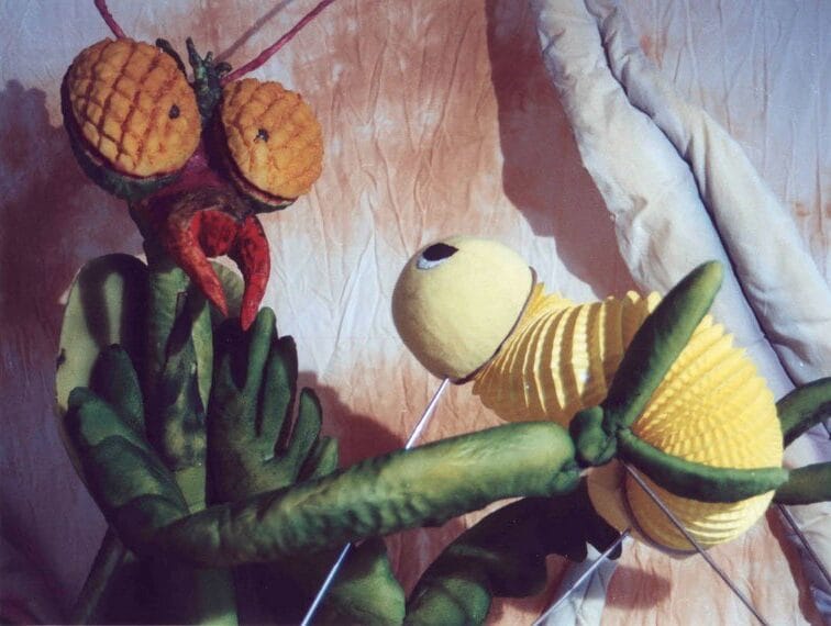 A Granxa