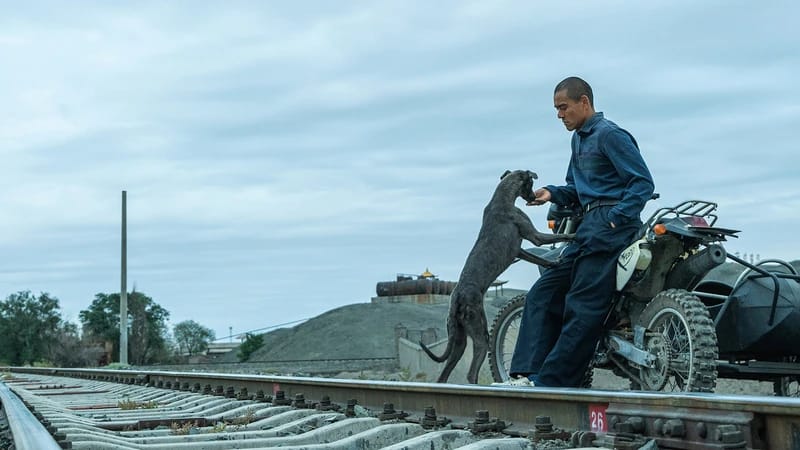 Proyección de 'Black Dog'