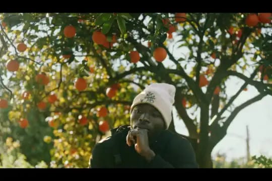 Proyecci贸n del documental 'Frutos amargos (The Pickers)'