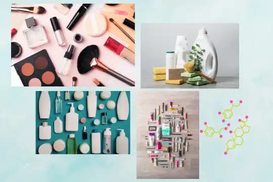 Charla: Disruptores endocrinos