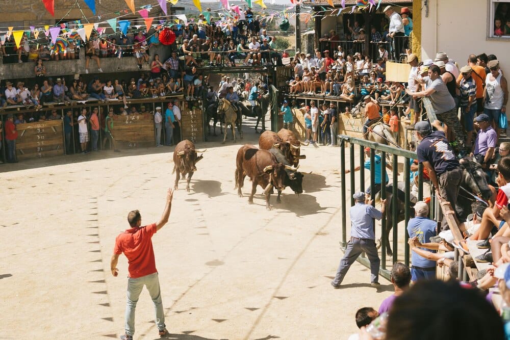 Becerrada popular