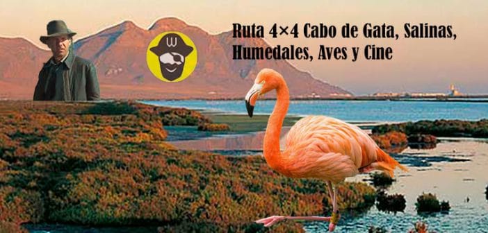 Ruta 4x4 Cabo de Gata, Salinas, Humedales, Aves y Cine