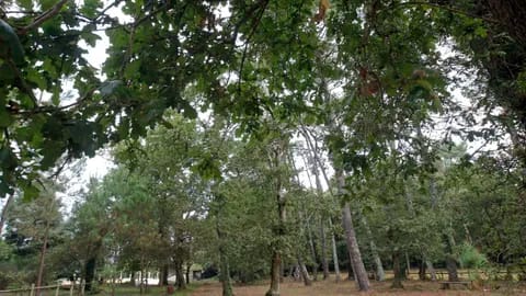 Xornadas Luis Asorey