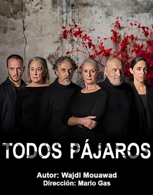 TODOS PÁJAROS