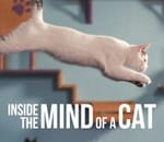 Cine ambiental: "En la mente de un gato". Netflix