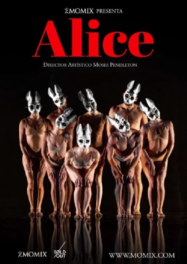 Función de 'Alice'