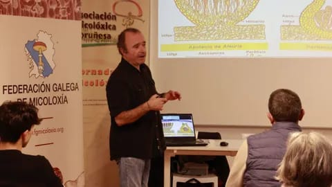 Charla: Las russulas, por si te pica la curiosidad