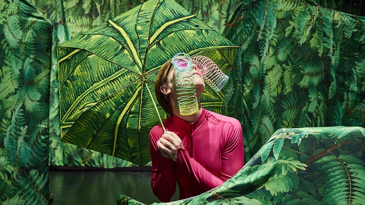 Jungla