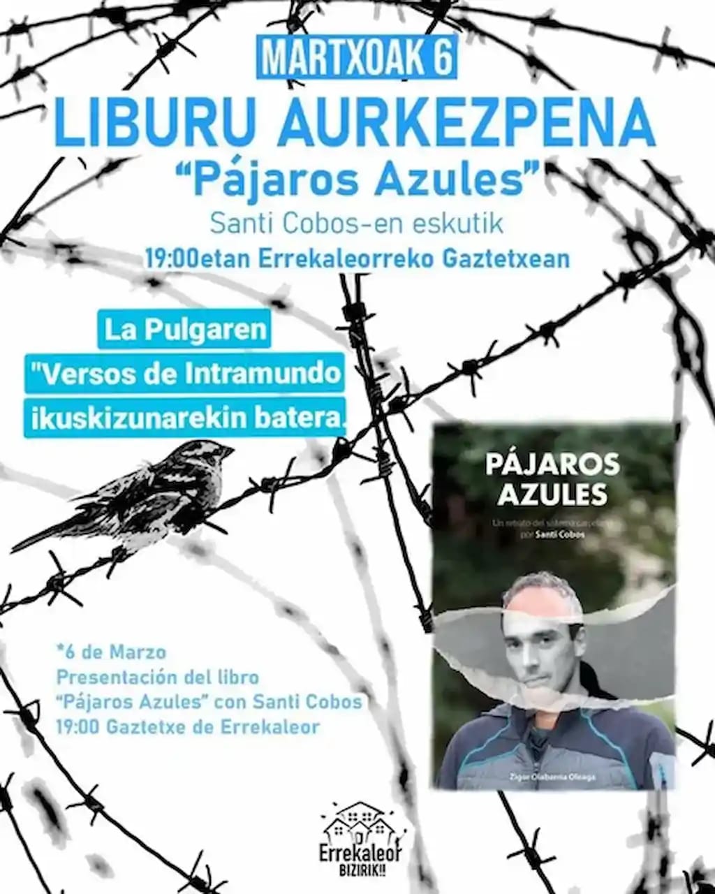 Pájaros azules