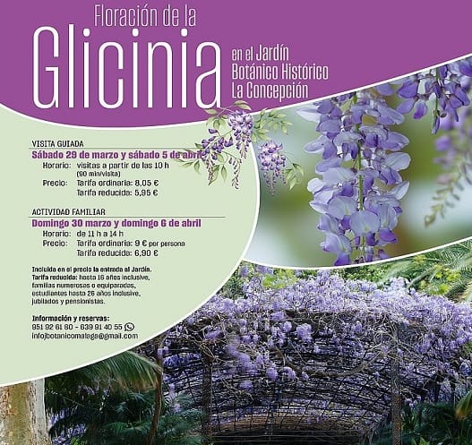 Especial Floraci贸n glicinia en La Concepci贸n: Visita guiada diurna