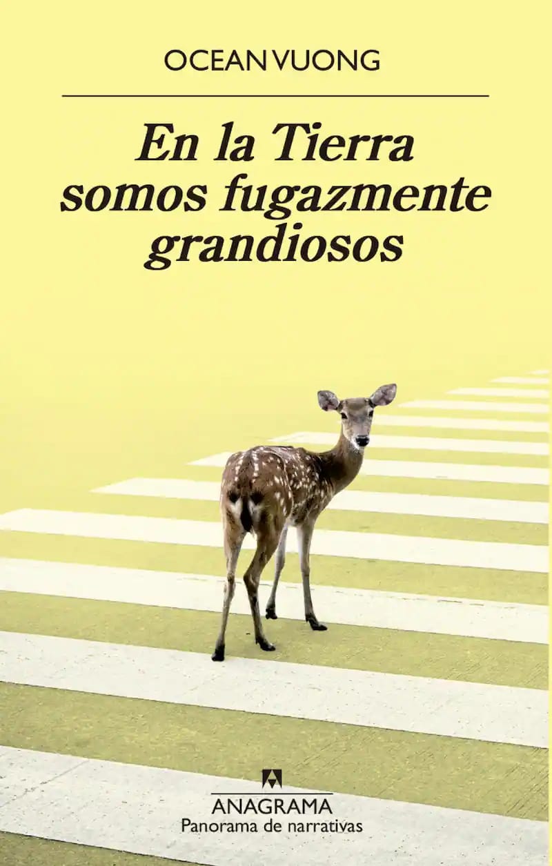 Club de Lectura: 'En la tierra somos fugazmente grandiosos' (Ocean Vuong)