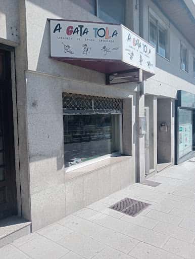 El cierre de la mítica librería A Gata Tola