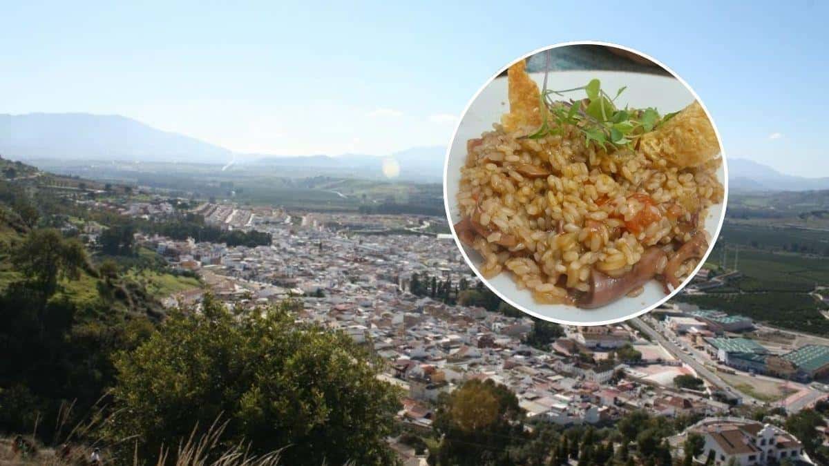 Jornadas Arroceras en el Valle del Guadalhorce