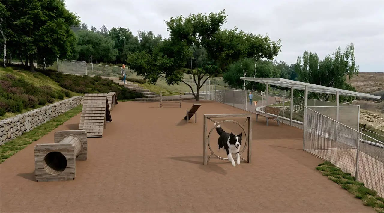 Ruta de parques caninos y planes con mascota en Lugo