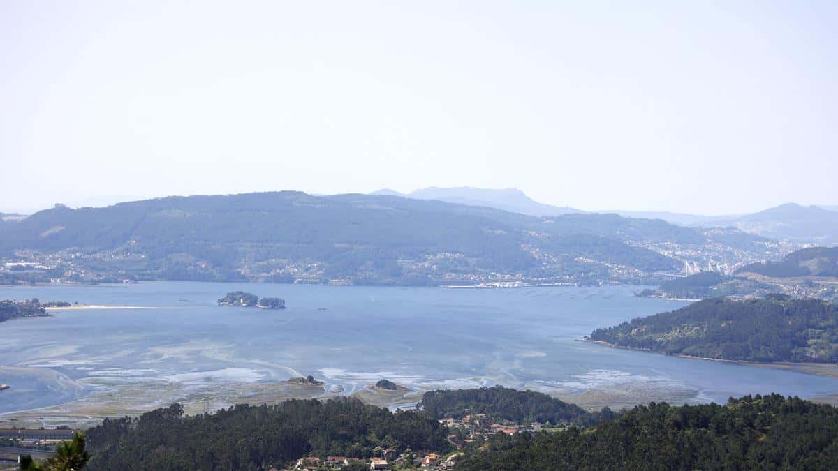 Aves y cajas nido - Bótate ao monte