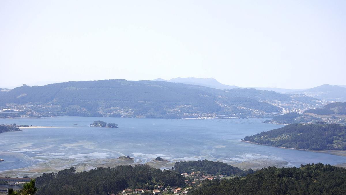 Aves y cajas nido - Bótate ao monte