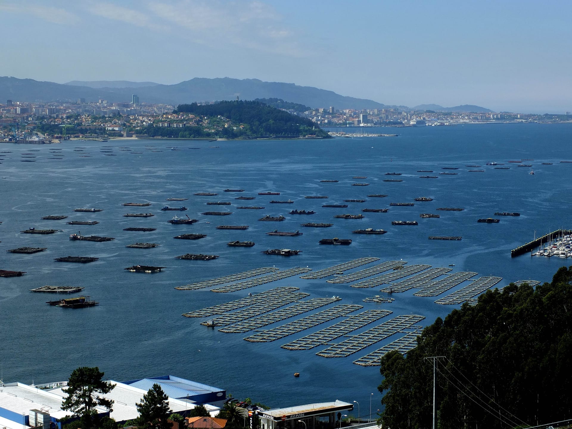 El regreso de las traiñeiras a la ría de Vigo