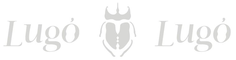 Adiós a Tinder: Lugo vuelve a ligar a través de los amigos