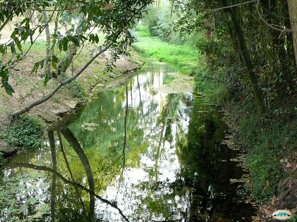 Ruta por el río Gafos: historia y naturaleza en Pontevedra