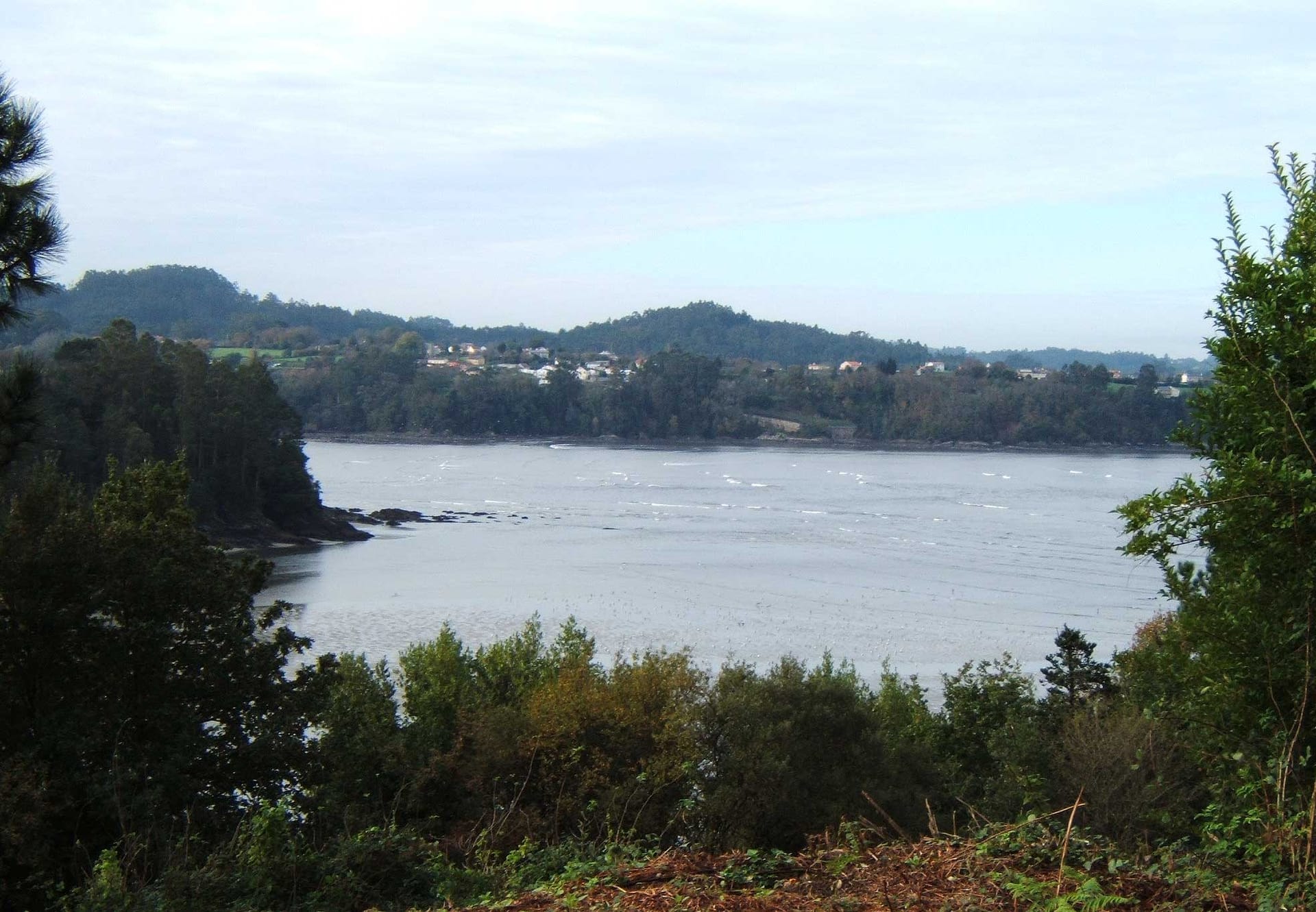 Guía de natación en aguas abiertas en la Ría de Betanzos
