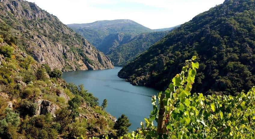 Guía para disfrutar la Ribeira Sacra en invierno