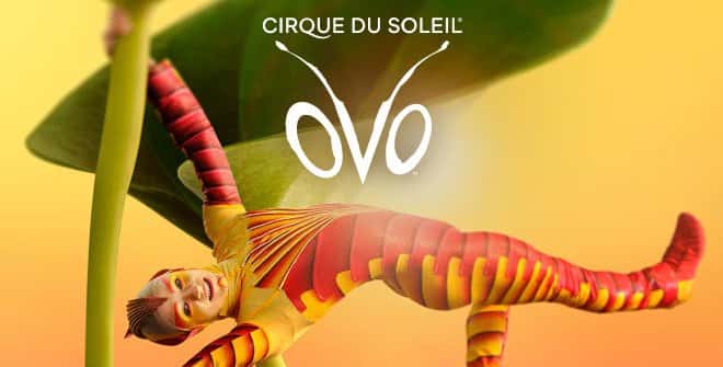 OVO - Circo del Sol