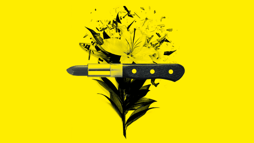 BEAUTY AND VIOLENCE