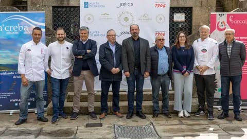 Estrelas no Camiño