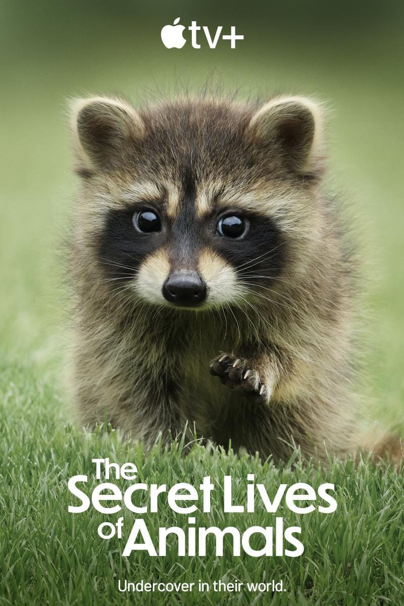 Cine ambiental: "La vida secreta de los animales Parte III"
