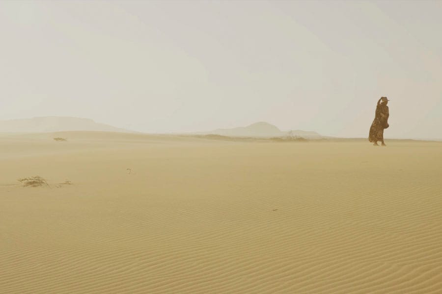 Alma del desierto 2024