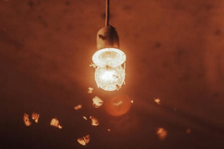 Conferencia: Contaminaci贸n lum铆nica - El efecto de la iluminaci贸n artificial en mariposas nocturnas y otros insectos