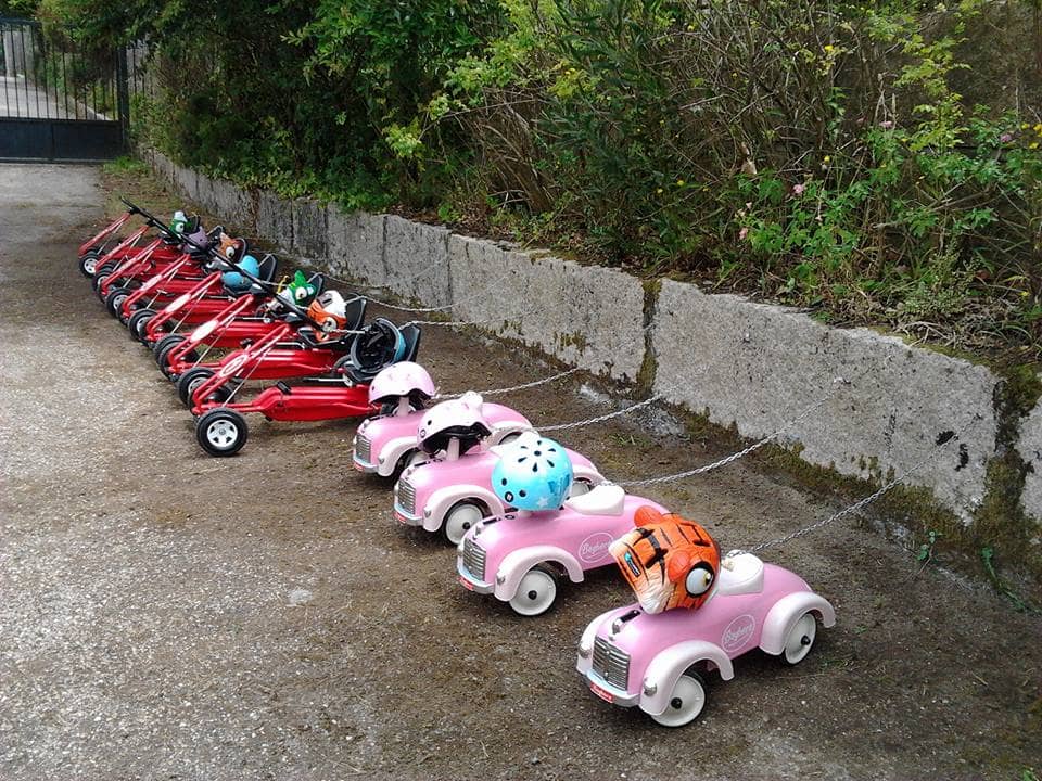 Vigozoo
