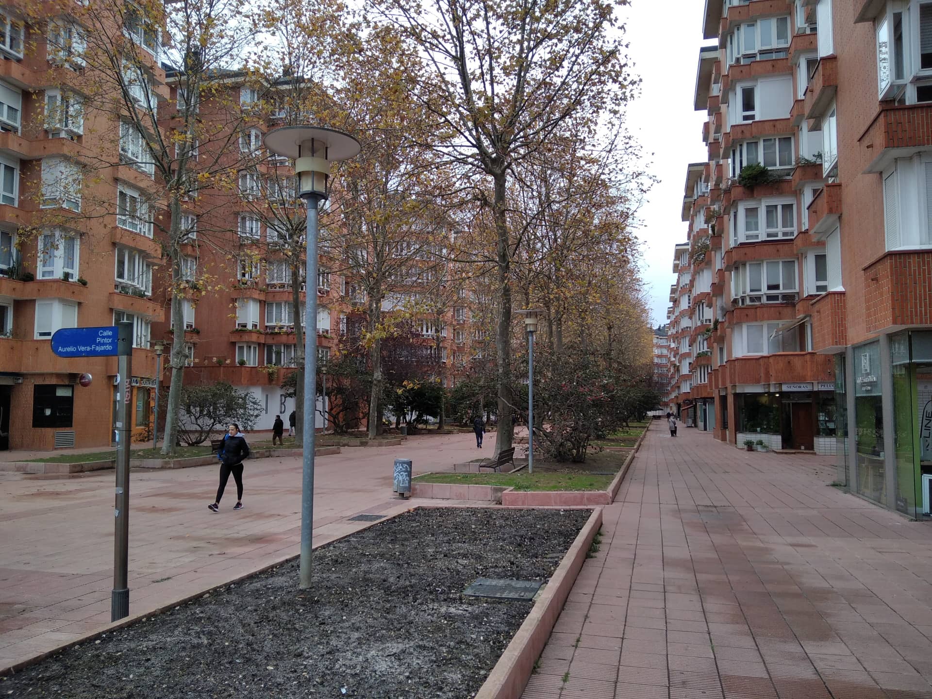 Calle Pintor Vera-Fajardo