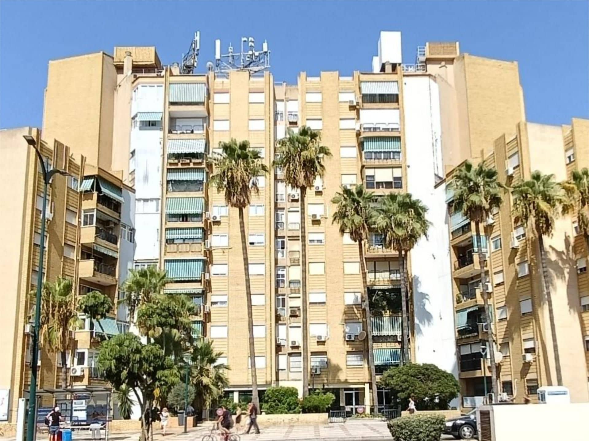 Calle Argentea