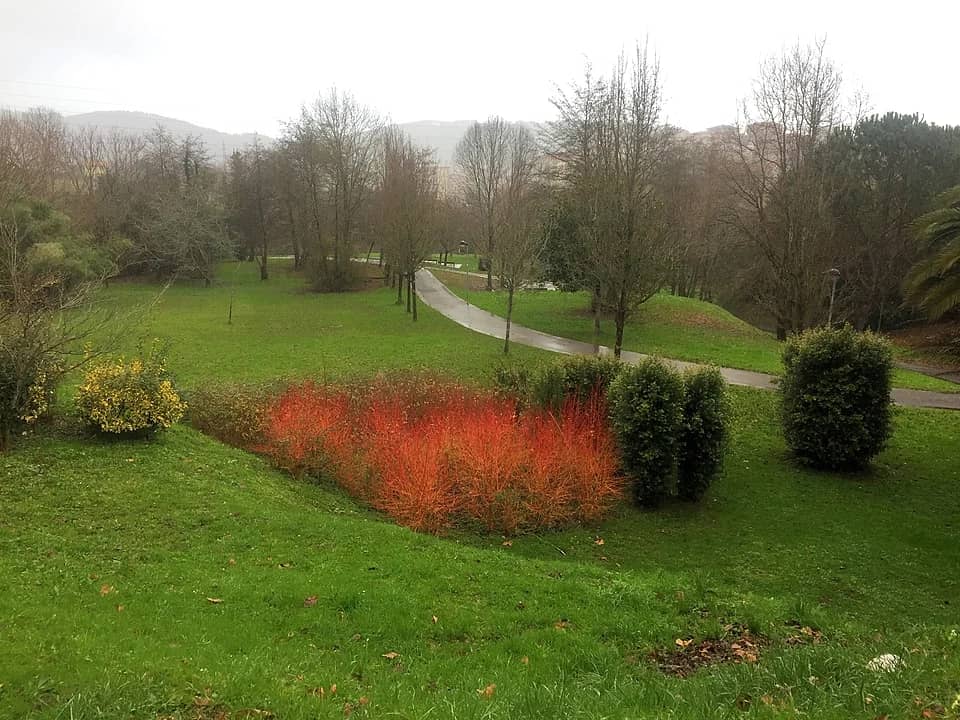 Parque de Larratxo