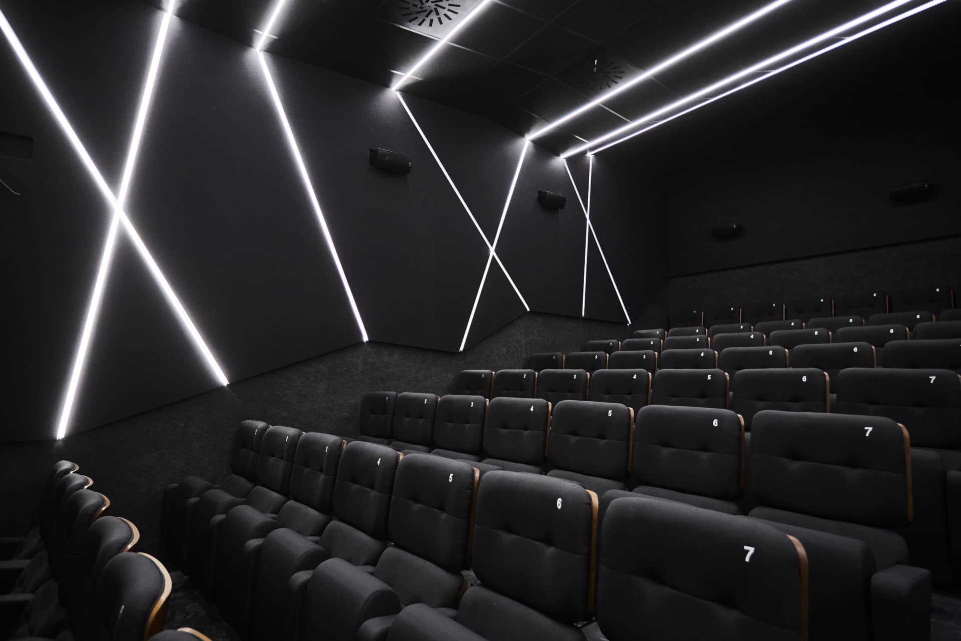 Cines Embajadores Foncalada