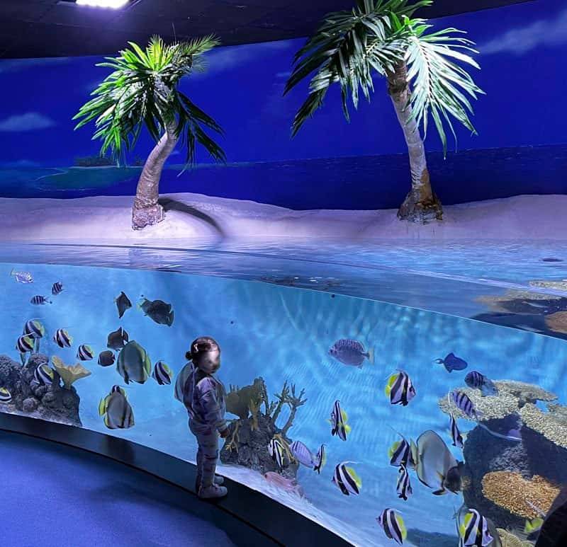 Jornada de puertas abiertas por el XX aniversario del Acuario de Gijón