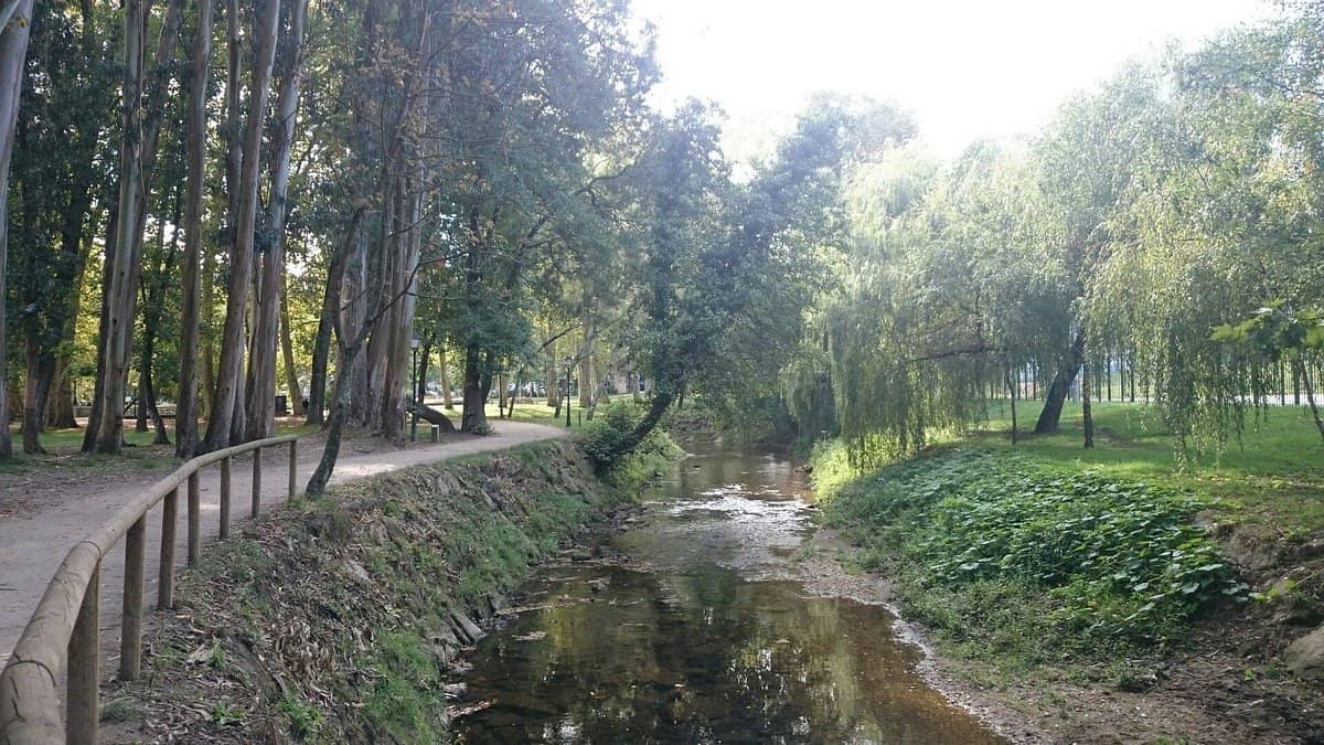 Galería RíoLagares