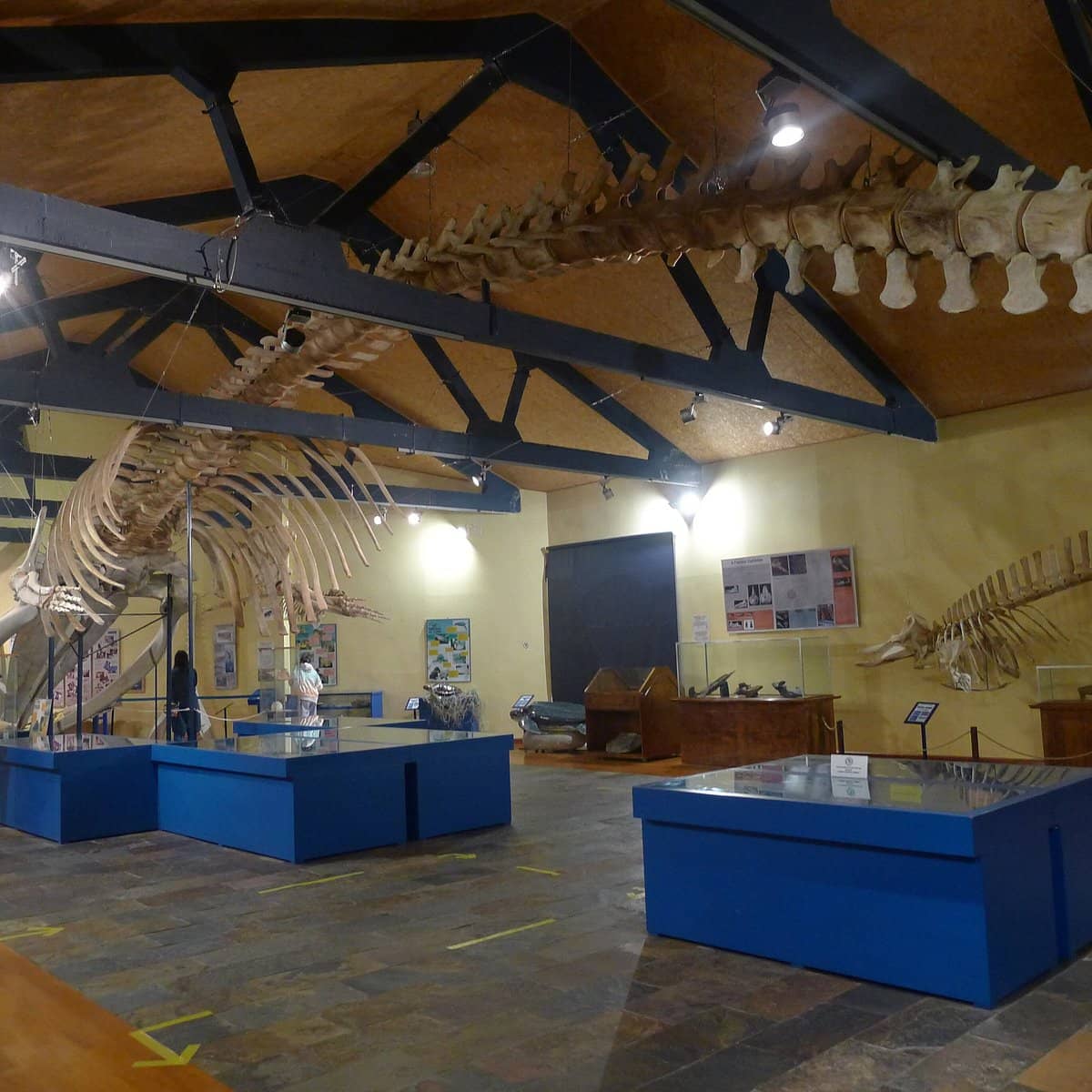 Museo de Historia Natural de Ferrol