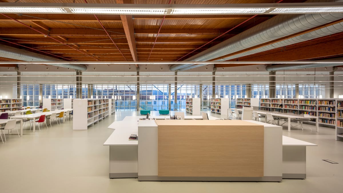 Muestra bibliográfica Palestina