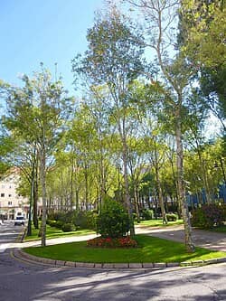 Praza de Galicia